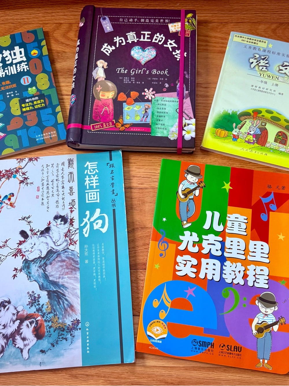 Chinese Educational Activity Book Bundle
